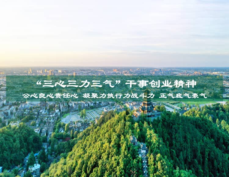 都江堰投资发展集团有限公司