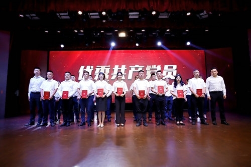 蓝月亮精选料兔费大全