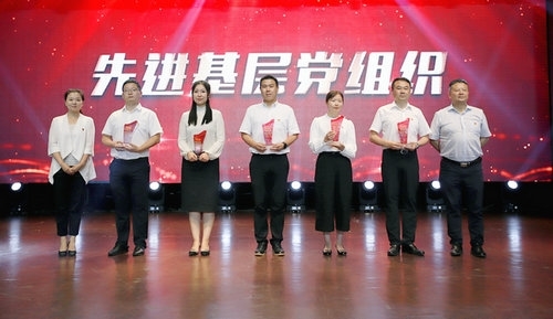 蓝月亮精选料兔费大全