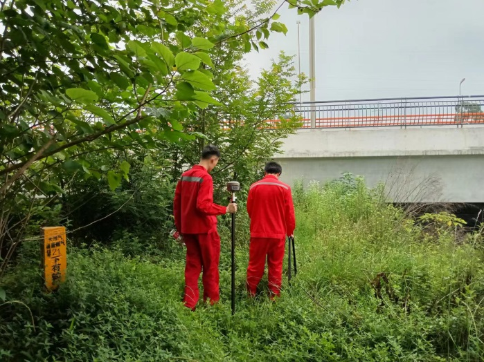 1655954289163563.png 11.png