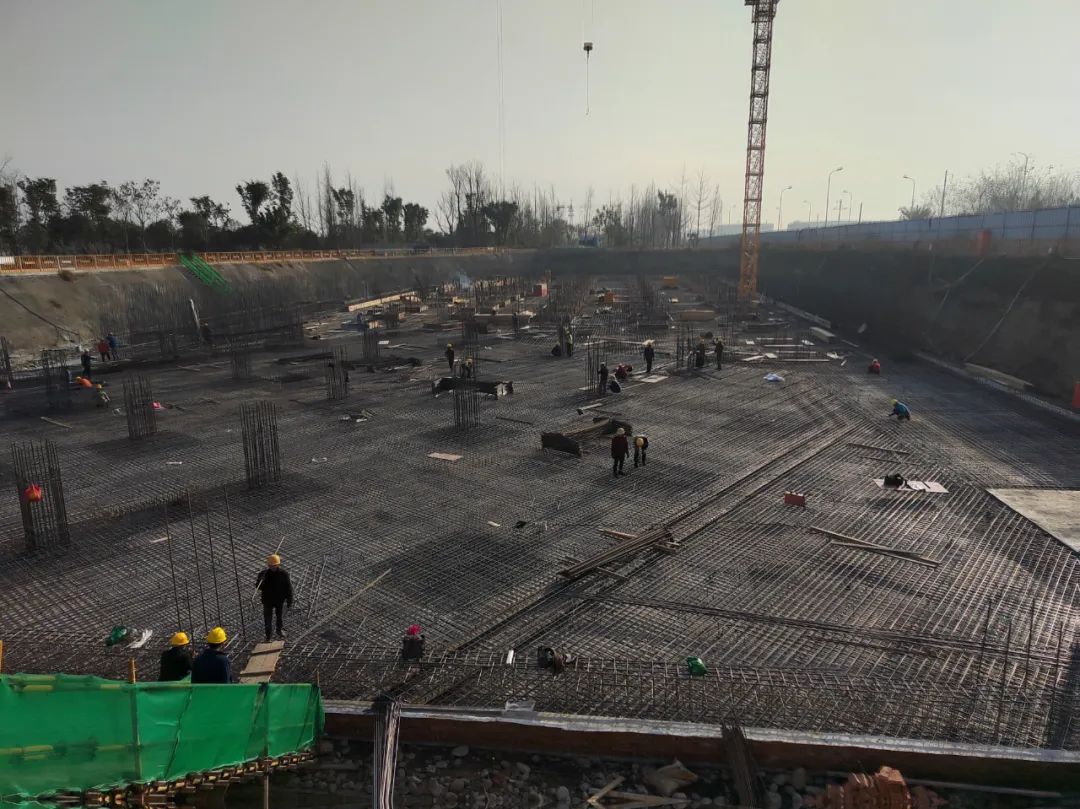 1679621038103039.jpg 640.jpg