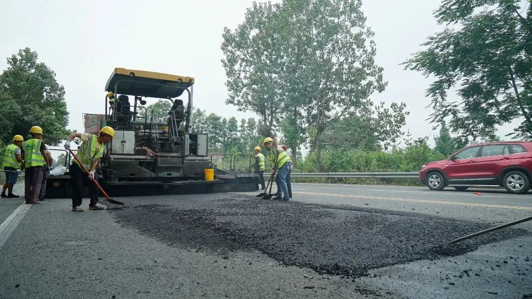 1688969177725343.jpg 640.jpg