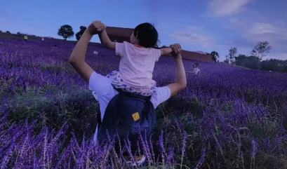 1717404105653738.png image.png