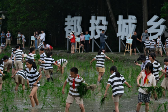 1717637732189253.png image.png