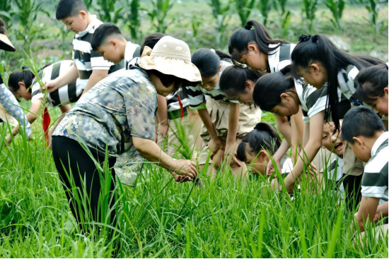 1717637750259825.png image.png