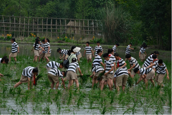 1717637765985685.png image.png