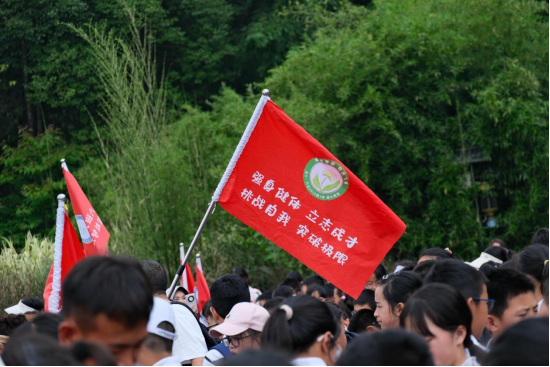 1717637778659246.png image.png